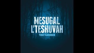 Video thumbnail of "Yosef Karduner - Ki Tavor"