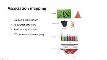6. Association Mapping