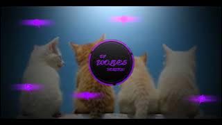 DJ_Dust_Till_Down_Viral_TikTok_Mashup_DJ_Wolves_Remix 2k24