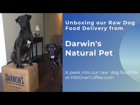 unboxing-our-raw-dog-food-delivery-from-darwin