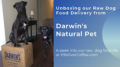 Unboxing Our Raw Dog Food Delivery From Darwin's Natural Pet