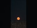 Moonrise. Timelapse