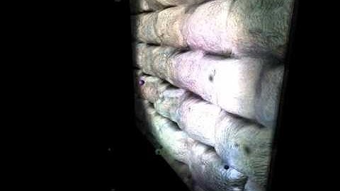 DirectX11 Deferred Shading Engine - Demo 07 : Parallax Mapping