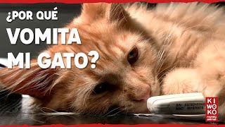 ¿Por qué mi gato vomita? 【 Causas y Soluciones 】✅