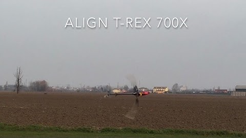 Align T-Rex 700X - Luca Pescante