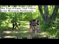 Chequamegon-Nicolet National Forest (2021) - Game Trail Camera Videos