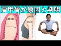 【10分】お腹周りの腰肉と二の腕痩せるストレッチ方法!ズボラストレッチ