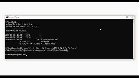 Selfmodifyinghash, modifies its own hash signature on disk