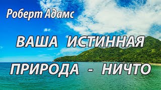 Ваша истинная природа  ничто (Роберт Адамс.НикОшо)