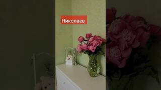 ПОЛНОЕ ВИДЕО НА КАНАЛЕ ПОДПИШИСЬ!#рекомендации #николаев #рек #подпишись #война #цветы