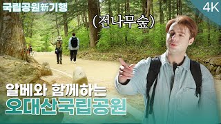 [4k] 국립공원 新기행 ｜ 전나무 숲에서 피톤치드 가득! 오대산국립공원 [상편]