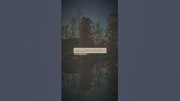 أكتب شيءٍ تؤجر عليه 🤍…#قران_كريم #قرآن #تلاوات #تلاوة #تلاوات_خاشعة #دعاء #ليلة_القدر