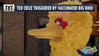 Big Bird Ruffles Ted Cruz’s Feathers Over Vaccine Tweet