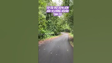 Itp tài trợ 80% vốn cho nhà đầu tư tài năng #itp  #itpclub  #ichimoku