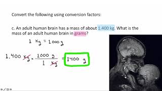 One Step Conversions