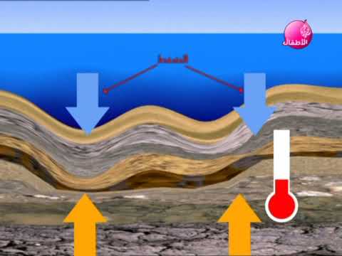 فيديو: كيف تصبح المواد العضوية الوقود الأحفوري؟