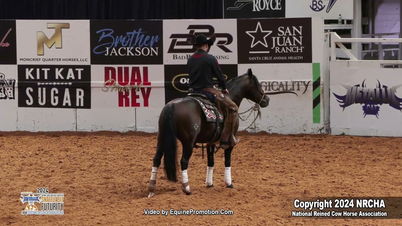 HiCaliber Cat shown by Clayton M. Edsall. From the  2024 snaffle bit futurity open hackamore prelims