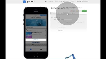 Adding a Theme using JavaScript and Custom CSS