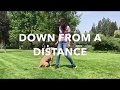 UTAH - Pitbull Dog Training Oregon UTAH - Pitbull Dog Training Oregon