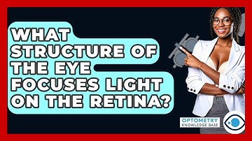 What Structure Of The Eye Focuses Light On The Retina? - Optometry Knowledge Base