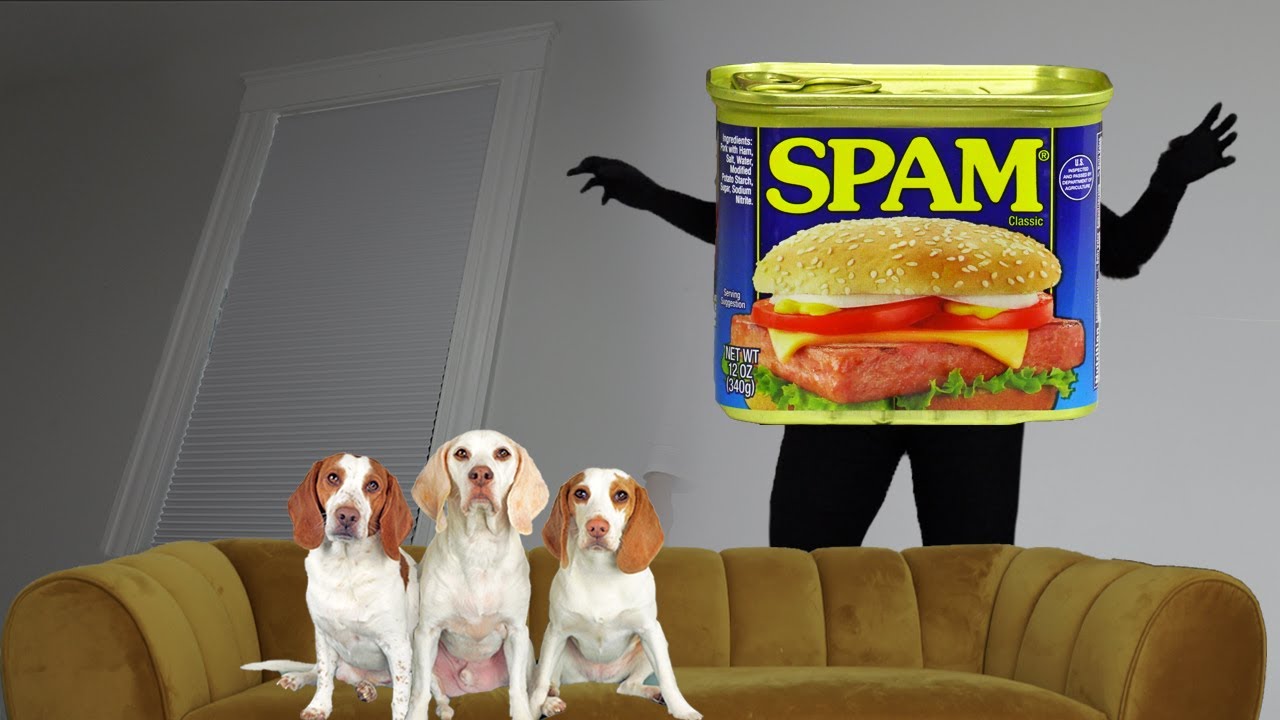 ⁣Dogs Spammed by Giant Spam: Funny Dogs Maymo, Potpie & Indie vs Spammer Prank!