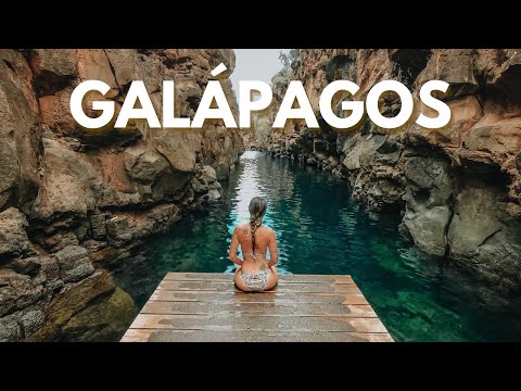 Vídeo: 8 Ilhas de visita obrigatória em Galápagos