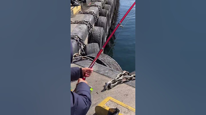 Amazing Kid Fishing!!