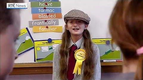 The Single Transferable Vote explained