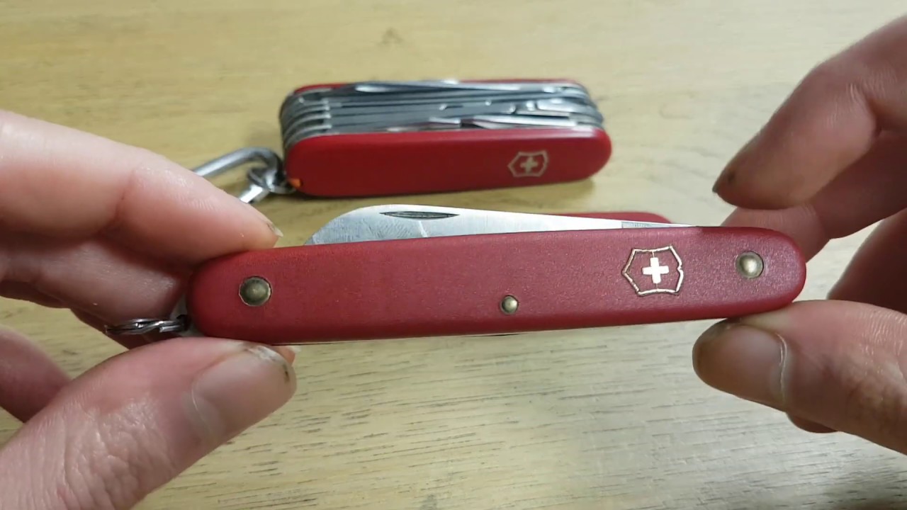 Victorinox Floral Knife Red  $1.00 Off Free Shipping over $49!