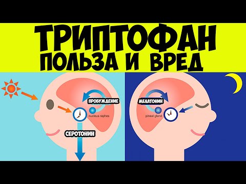 Триптофан - формула спокойствия. Польза и вред триптофана