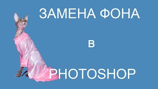 Как вырезать изображение  в фотошопе. Замена  фона на новый.(Больше видео-уроков на http://foto-razumov.ru/text.html Простой урок от Игоря Разумова, как вырезать изображение котенка..., 2013-12-07T18:21:03.000Z)