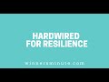 Hardwired for Resilience // The Winner's Minute With Mac Hammond