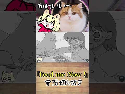 【Feed me Now !切り抜き】ねこちゃんかわいい～～～～～～ってする、こぎつねVtuber