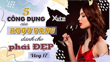 Tập 17: 5 Công dụng của Rượu Vang dành cho phái Đẹp