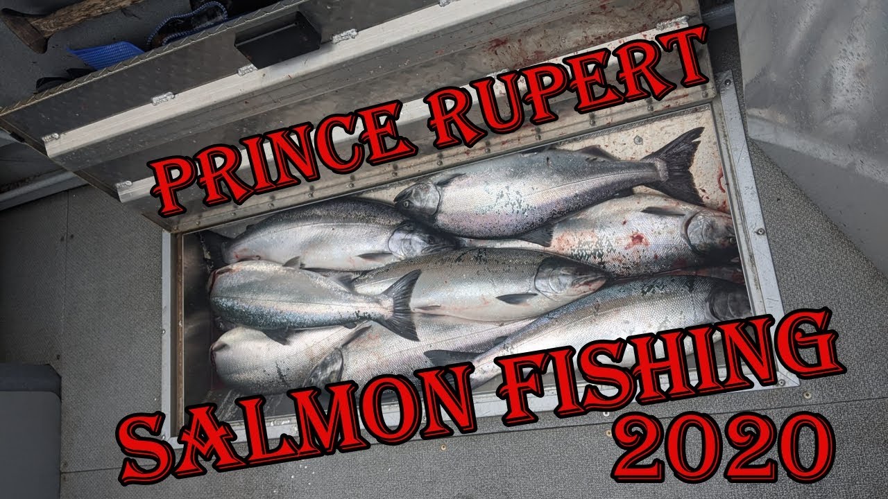 Prince Rupert Salmon Fishing 2020 - YouTube