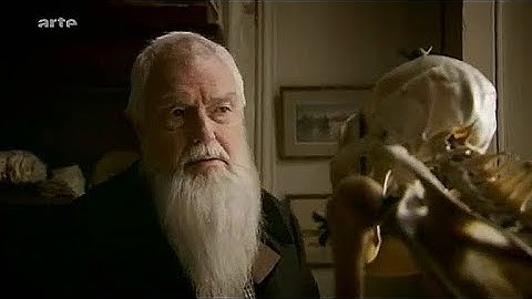 Les Origines - La Théorie de l'évolution de Darwin