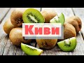 Как это сделано | Киви | Kiwi