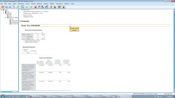 7. Making composite variables in SPSS