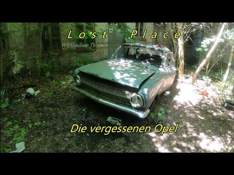 Lost Place, die Opel in der Porzellanfabrik