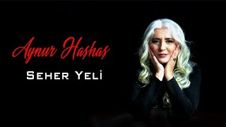 Aynur Haşhaş - Seher Yeli (Canlı Performans) [© 2020 Semahlar ve Deyişler] Resimi