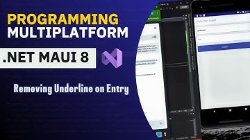 .NET MAUI 8. Removing Underline on Entry.