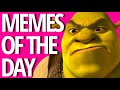 Memes of the day shreks had enough of this woke crap