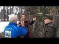 The tree that saved a Jewish family of 6 from the Nazis - Dab Jozef