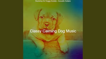 Wicked Backdrops for Calming Your Pup