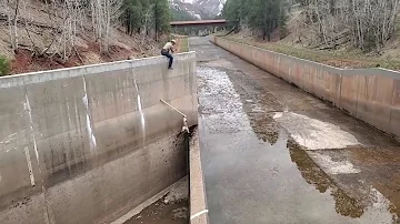 Wildlife officer and mountain lion perform acrobatic stunt during rescue from soon-to-be flooded...