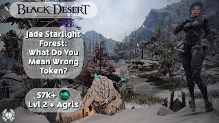 BDO Jade Starlight Forest w/ Awk Mystic 57k+ TL Lvl 2 + Agris