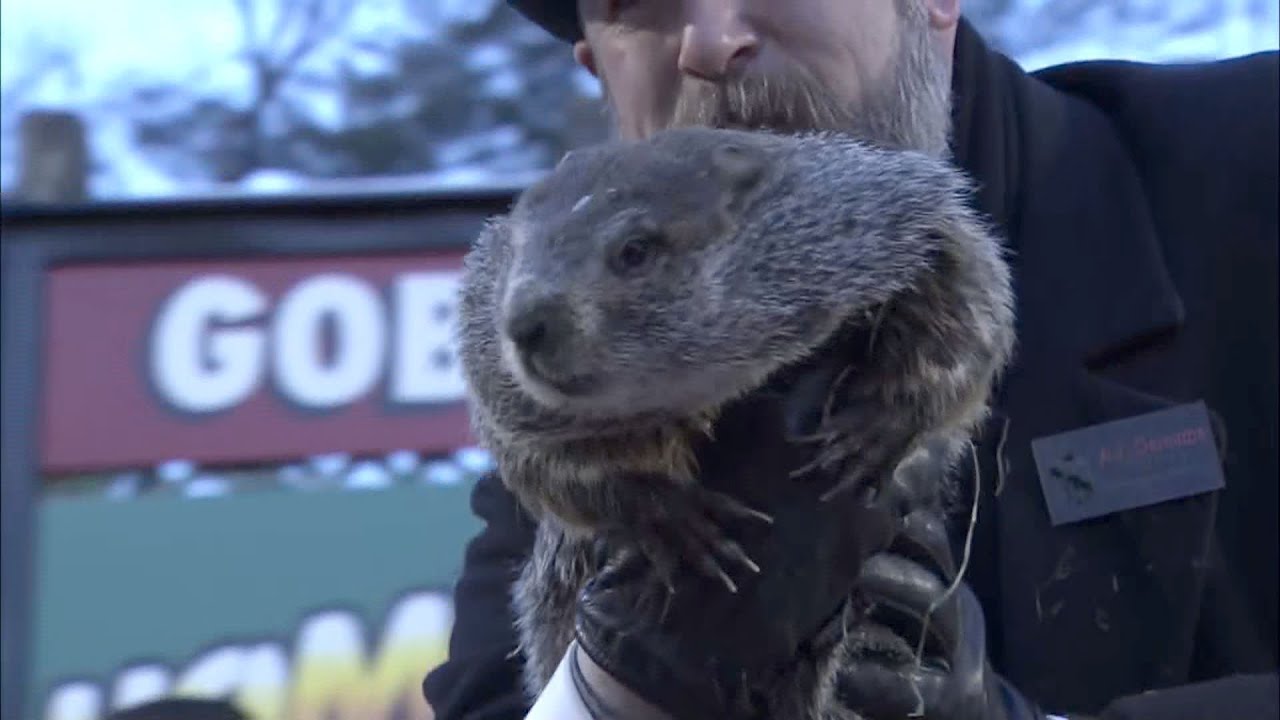 Groundhog Day 2023: Punxsutawney Phil sees his shadow