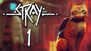 I play as cat [Stray - Part 1] - YouTube