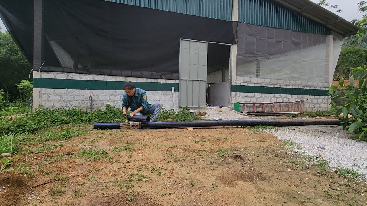 Stretch insect nets. Cover manholes to prevent rats from entering the pig farm.