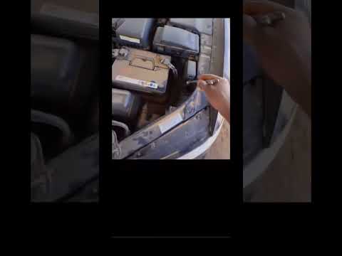 المعروف لايعرف ازيرا برنزيني